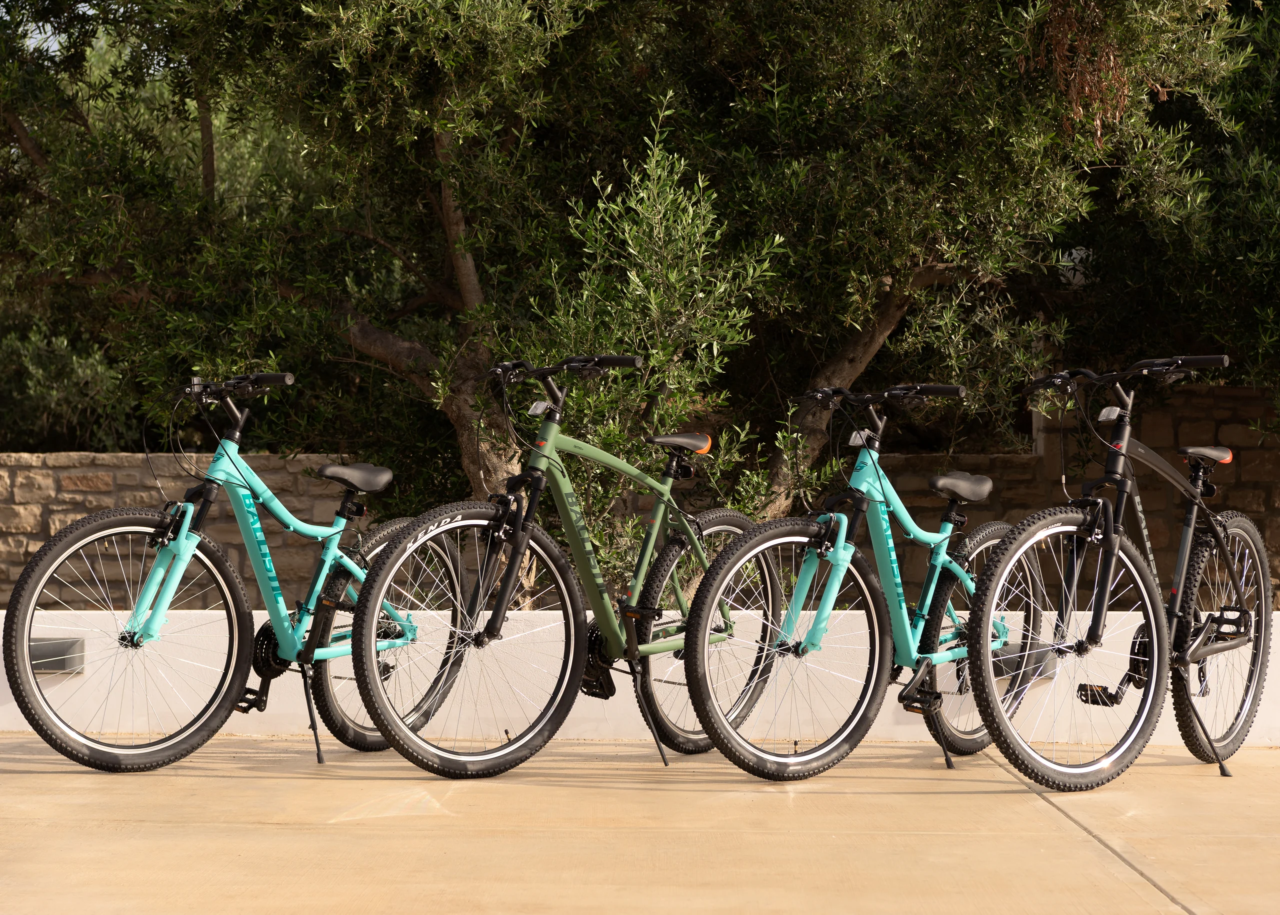 Bicycles available beneath the villa's olive trees at Aesthea Exclusive Villa