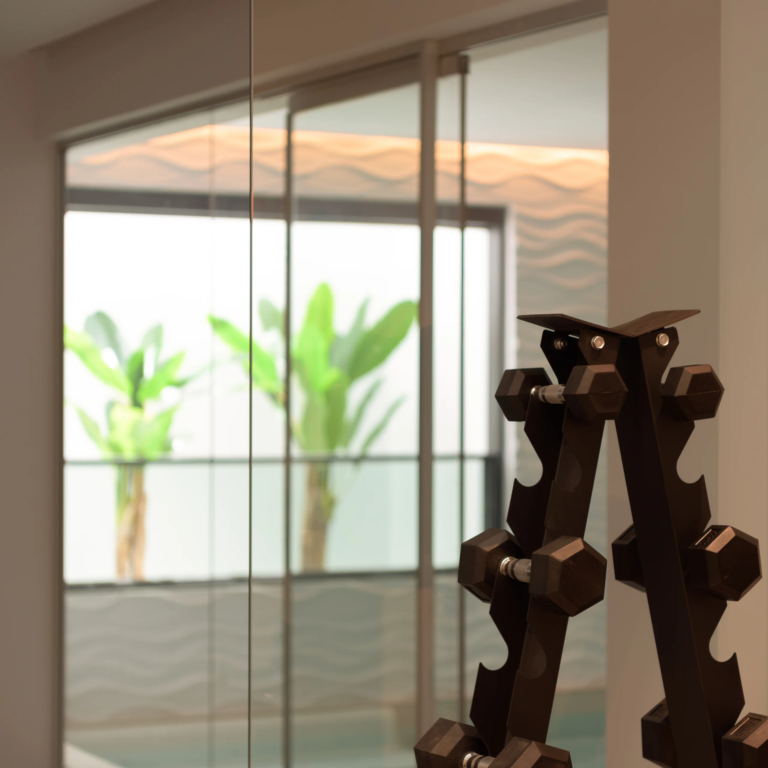 Free weights beside the glazed gym wall at Aesthea Exclusive Villa